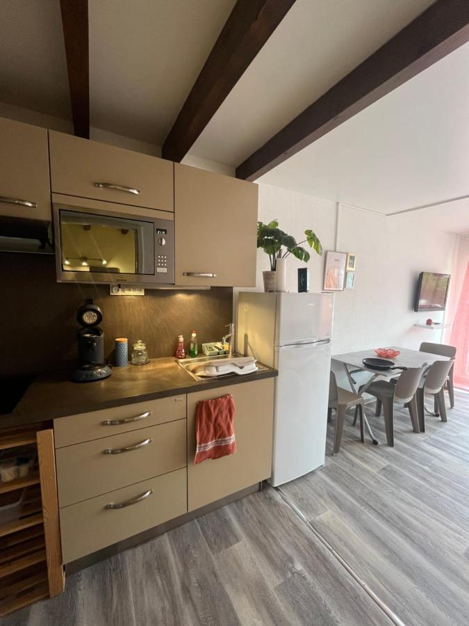Appartement Argeles-Sur-Mer Avec Piscine A 500M De La Mer Exterior foto